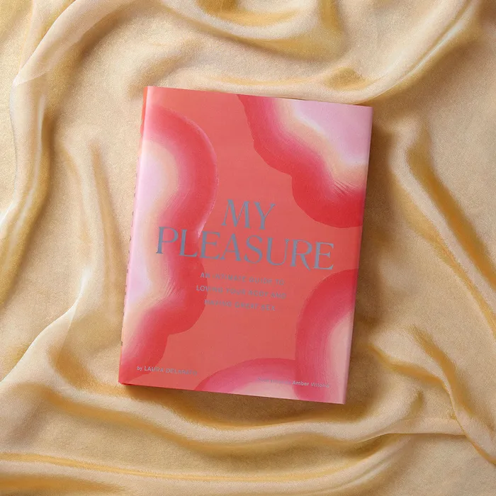 Vibrators Chronicle Books My Pleasure An Inclusive Guide to Body Love Sexual Empowerment and SelfCare
