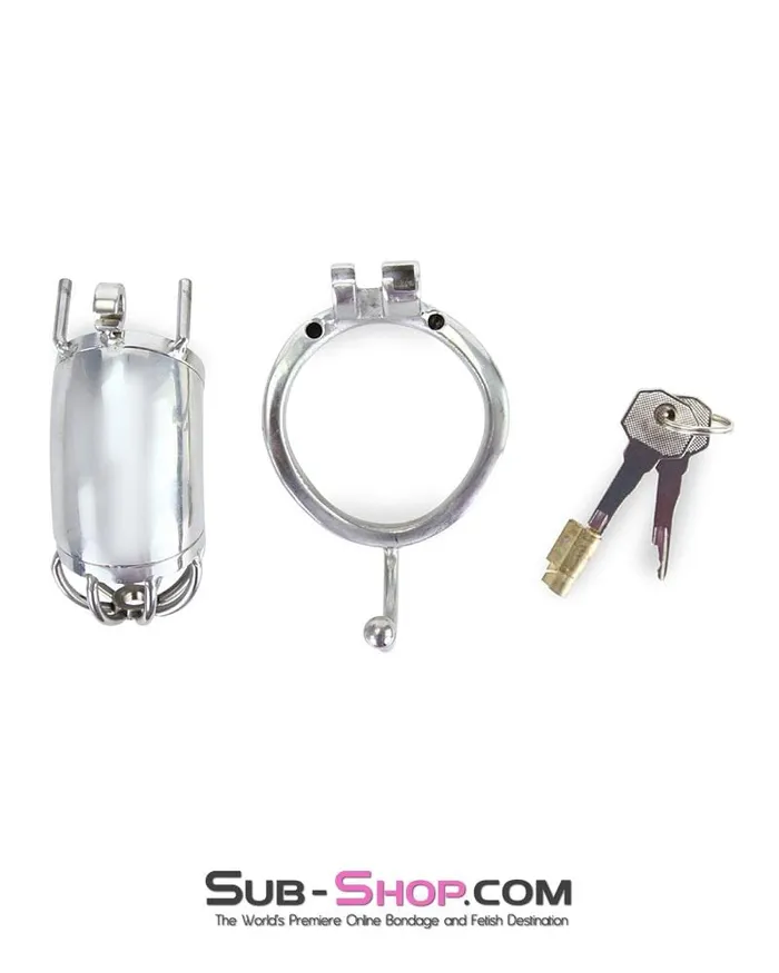 9935RS High Security Tease and Torment Steel Male Chastity Tube with Ball Separation Rod Raysent Male Sex Toys