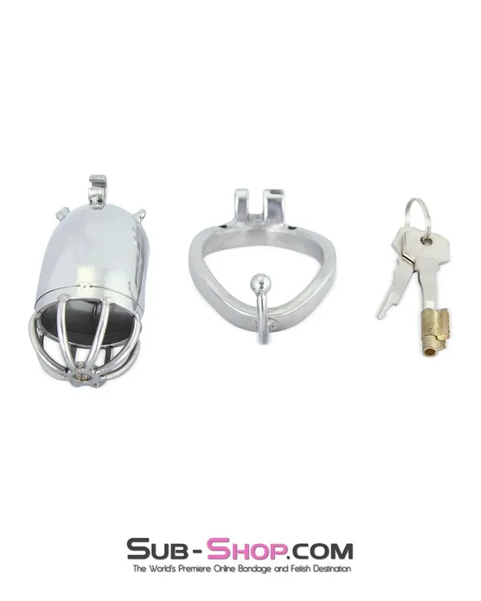 9935RS High Security Tease and Torment Steel Male Chastity Tube with Ball Separation Rod Raysent Male Sex Toys