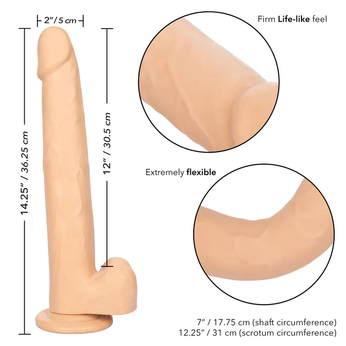 Anal CalExotics Size Queen 12 inch305 Cm Ivory Anal CalExotics Size Queen 12 inch305 Cm Ivory