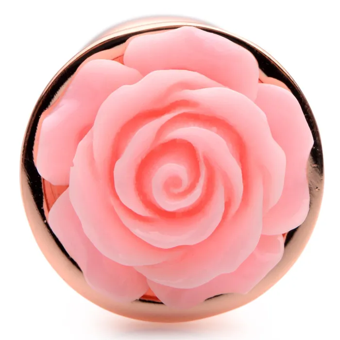 Anal XR Brands Pink Rose Gold Anal Plug Small
