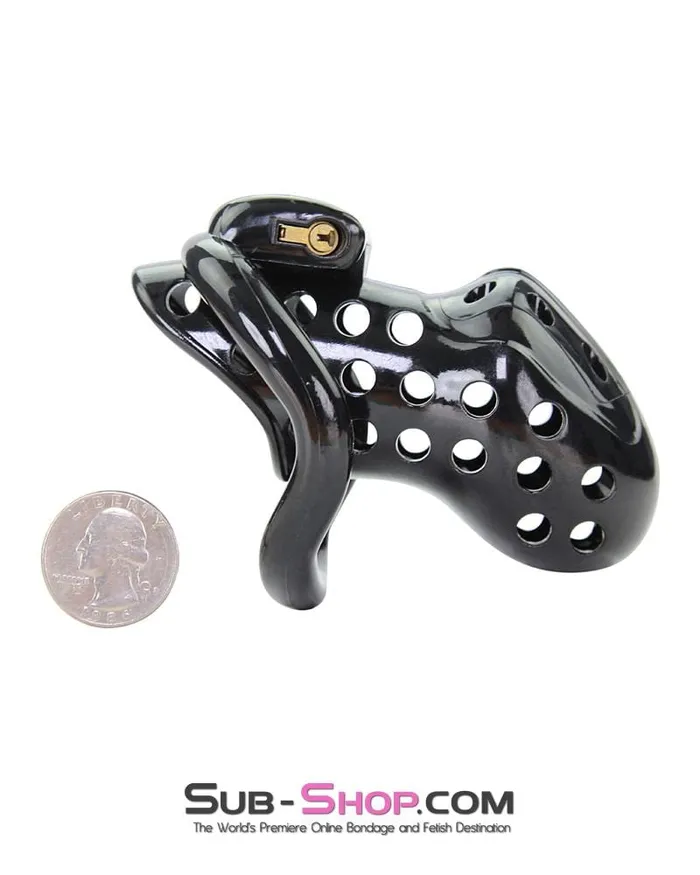 Aria Male Sex Toys 1722AR Boy Toy Black High Security Pin Tumbler Locking Cock Cage Chastity