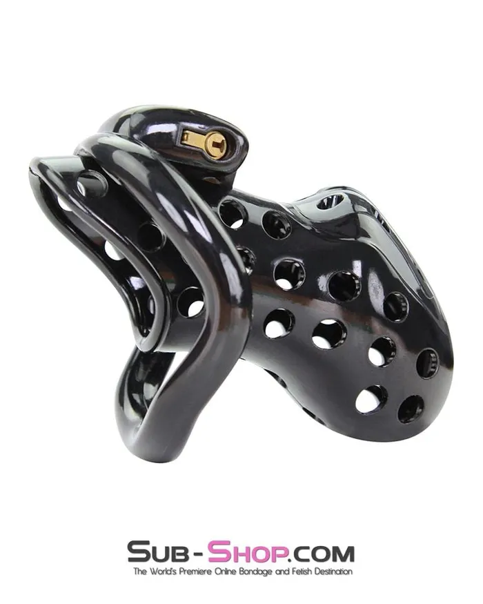 Aria Male Sex Toys 1722AR Boy Toy Black High Security Pin Tumbler Locking Cock Cage Chastity