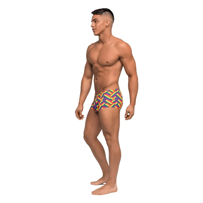 Male Power Female Sex Toys Pride Fest Mini Short Medium Print Male Power Female Sex Toys Pride Fest Mini Short Medium Print